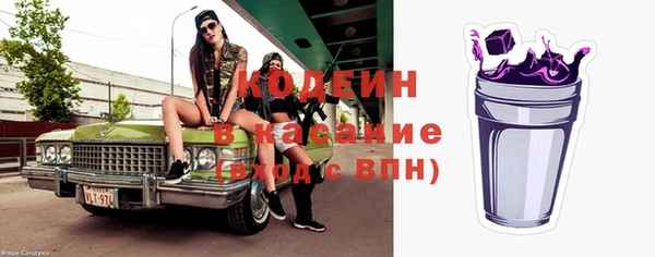 ПСИЛОЦИБИНОВЫЕ ГРИБЫ Арсеньев