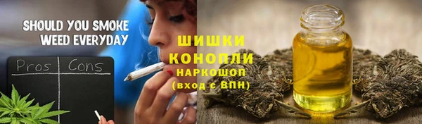 ПСИЛОЦИБИНОВЫЕ ГРИБЫ Аркадак