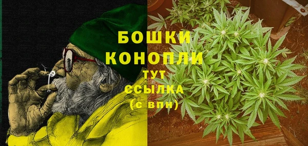 ПСИЛОЦИБИНОВЫЕ ГРИБЫ Аркадак