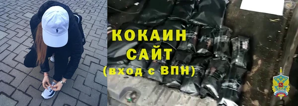 ПСИЛОЦИБИНОВЫЕ ГРИБЫ Арсеньев