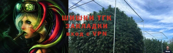 ПСИЛОЦИБИНОВЫЕ ГРИБЫ Арсеньев