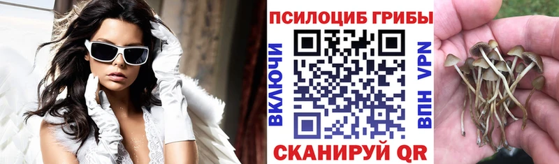 Псилоцибиновые грибы мицелий  OMG вход  Сортавала 