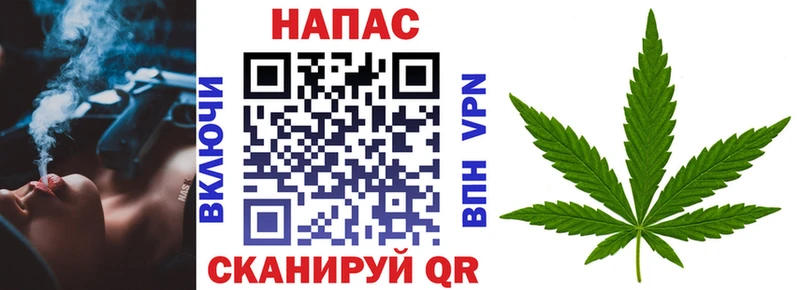купить наркоту  мега как войти  darknet Telegram  Сортавала  Каннабис LSD WEED 